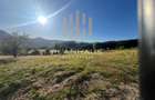 Teren extravilan Firiza Maramures , zona Vidra ,1 ha ideal cabana , - 7