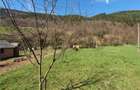 RECO Teren intravilan zona Bulz