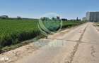 Teren intravilan construire hale depozitare, industrie , servicii, com
