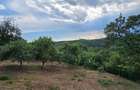 CASA DE VANZARE! Pret 119.500 E Casa ideala pentru tine Milcoiu Valcea - 18