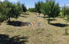 Casuta de vacanta Hideaga | teren 30 ari | liniste | acces facil - 2