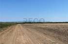 RECO Teren extravilan Tulca 18100 mp - 5
