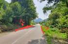 Teren intravilan zona turistica Remeti - 4