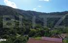 Casa traditionala, investitie potential de dezvoltare, 65 mp, Capalna, - 16