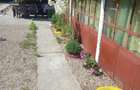 Vand Casa sat Greci comuna Osica de Sus - 6