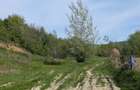 Teren de 14200 mp, în Podiș - 1