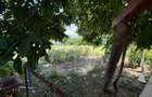 Teren 2000mp + casa de vanzare - Platonesti, Ialomita - 11
