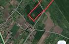 Teren de 15000 mp, în Răducăneni - 2