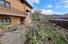 Direct proprietar - vila de vanzare in Hinova - 2