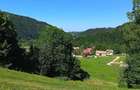 Teren de 8000 mp, în Bran - 10