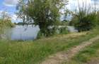 Teren intravilan la 20 de minute de Pitesti, cu lac de pescuit sau agrement - 1