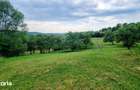 Vanzare Teren Construibil 6000mp Campul Lung Muscel Arges - 5
