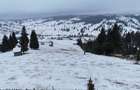 Teren extravilan de vanzare in Bucovina Breaza zona Paraul Negrei - 4