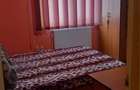 Apartament 2 camere decomandat + balcon, mobilat, centrala gaz | Vulcan - 1