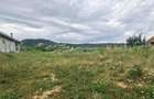 Teren intravilan de vanzare Saliste - 6