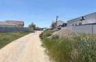 Teren intravilan 862 mp cu utilitati in Cihei - 5