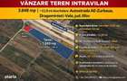 Teren intravilan de vanzare - 1