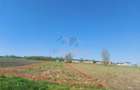 TEREN INTRAVILAN | 4300 MP | HIDISELUL DE SUS | BIHOR - 7
