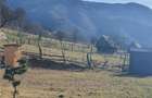 Vindem urgent 1035mp teren intravilan in Rau Sadului ,  SIBIU - 15