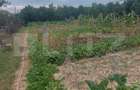 Cabana cu teren de 18 ari, zona Viile Satu Mare