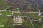 OPORTUNITATE !Teren 1 Hectar Strada Nucului -PRIVELISTE PANORAMICA - 6