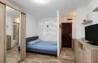 Garsoniera de inchiriat zona Teiul Doamnei - 10