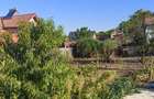 Vand casa Sat Cerneti