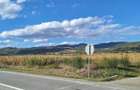 Teren in Coplean intravilan - 1
