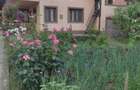 Proprietate deosebita / Casa de vacanta in Parscov, Buzau 213 mp utili, teren 1068 mp, livada si anexe - 6