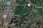 Domeniu forestier 50 ha | Privelisti spectaculoase | La 1 ora de Bucuresti | Investitie unica - 6