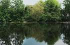 Domeniu cu Lac,Izvoare naturale si Insula,Giurgiu,Vanatorii Mici,6,3HA - 5