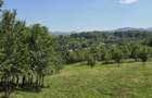 Teren intravilan de vanzare Cacova Ierii, judetul Cluj - 2