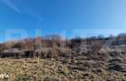 Teren extravilan, 5600mp, ideal investitie de viitor, zona Vidului, Fl - 1