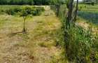 Persoana Fizica vand Teren Cluj - Borsa Catun - Intravilan 2300 mp - Extras CF - Cabana - Foisor - 6