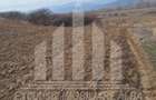 Teren extravilan | Agricol | 15800 mp | 45 ml deschidere | Salistea - 3