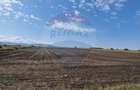Teren intravilan, 4.874mp, DN E 85, com. Nicolae Balcescu, Bacau - 5