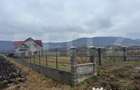Casa Individuala, 230 mp, 2900 mp teren, 15 km de Bistrita 2 - 1