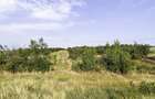 Parcele Teren extravilan Livada si Pasune Lunca Corbului Arges - 2