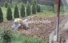 Casa P+M cu 1.558 mp teren, livada si garaj