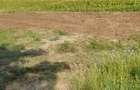 Teren intravilan 500 mp deschidere 23 m Puz Apobat P+2 - 6