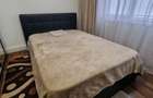 Inchiriere Apartament 2 Camere Craiovita Noua (Zona Lidl Rocada / Str. Elena Farago) - 5