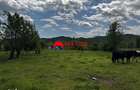 Teren construibil 5.164 mp | Brebu Megiesesc, Prahova | Dublu acces | - 2