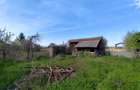 Casa la tara in Petid, Bihor, teren 4.122 mp, acces auto - Vanzare - 10