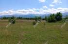 Teren intravilan 5000 mp pe Valea Avrigului, Sibiu