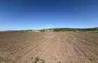 TEREN EXTRAVILAN DE VANZARE | 23 EURO/MP | 2900 MP | ZONA AEROPORT - 2