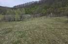 Teren de 11000 mp, în Ribița - 4