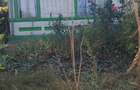 Gospodarie la ?ara cu DUBLU ACCES (fa?a spate): casa 4 camere, baie, fosa, anexe caramida Galbenu,