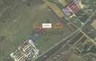 Teren intravilan pentru Hale in Iclod 9.741m2, 20 m2 - 2
