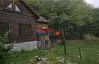 Casă de vacanță la pădure | Teren 891 mp | Valea Ighielului - 13