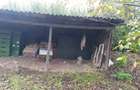 VADU Moldovei Suceava- Locuinta, Anexe, Magazin, Depozit si Teren - 13